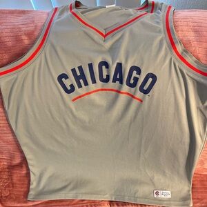 Chicago Gray and Red Jersey bleachers bum